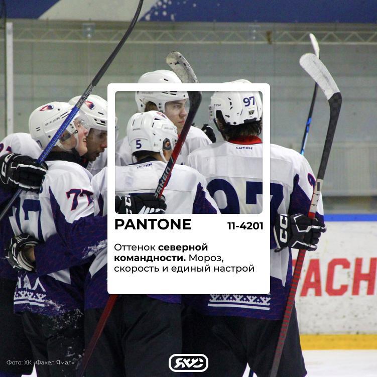 На Севере белый никогда не бывает просто белым На Севере белый никогда не бывает просто белым