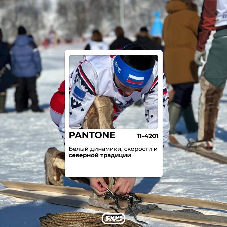 На Севере белый никогда не бывает просто белым На Севере белый никогда не бывает просто белым