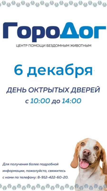 День открытых дверей в «ГороДог»!