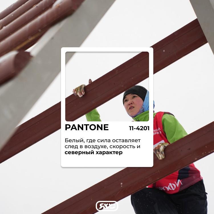 На Севере белый никогда не бывает просто белым На Севере белый никогда не бывает просто белым