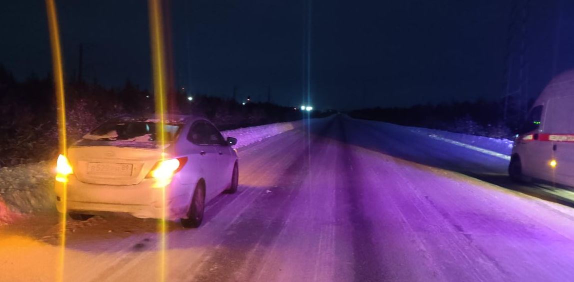 На дороге Сургут-Салехард насмерть сбили человека