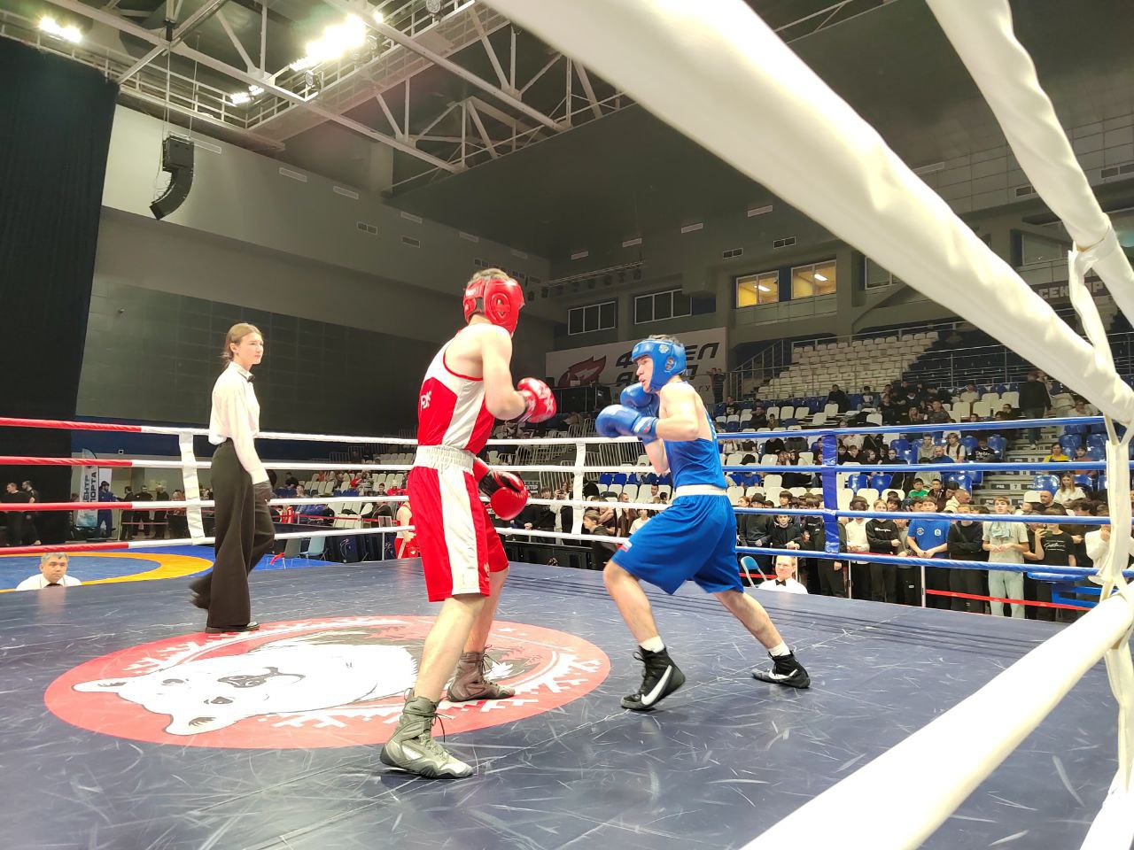 В Новом Уренгое проходит фестиваль единоборств В Новом Уренгое проходит фестиваль единоборств