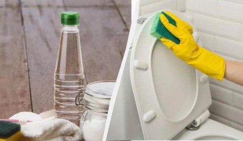 Секреты чистоты: возвращаем белоснежный вид унитазу без суровой химии