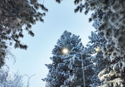 Пусть этот день начнётся не по звонку, а по зову души — в своём, самом комфортном ритме