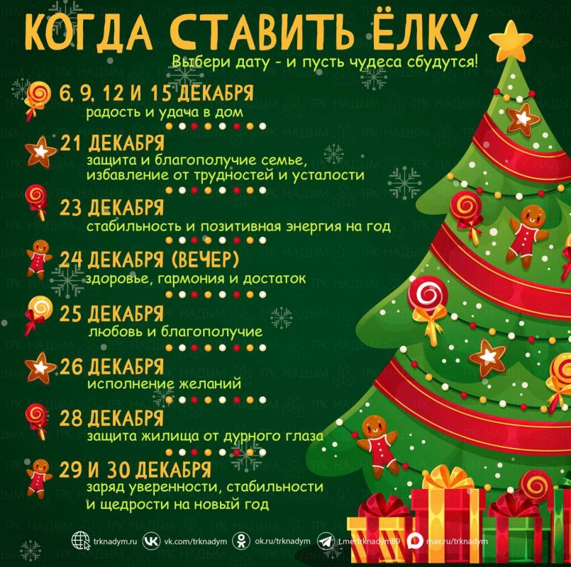 Новый год — время волшебства, надежд и… правильной установки главной героини праздника — новогодней ёлки!