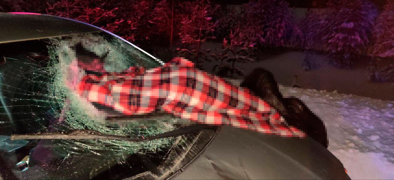 На трассе «Сургут-Салехард» произошло смертельное ДТП, об этом сообщила Госавтоинспекция Ямала