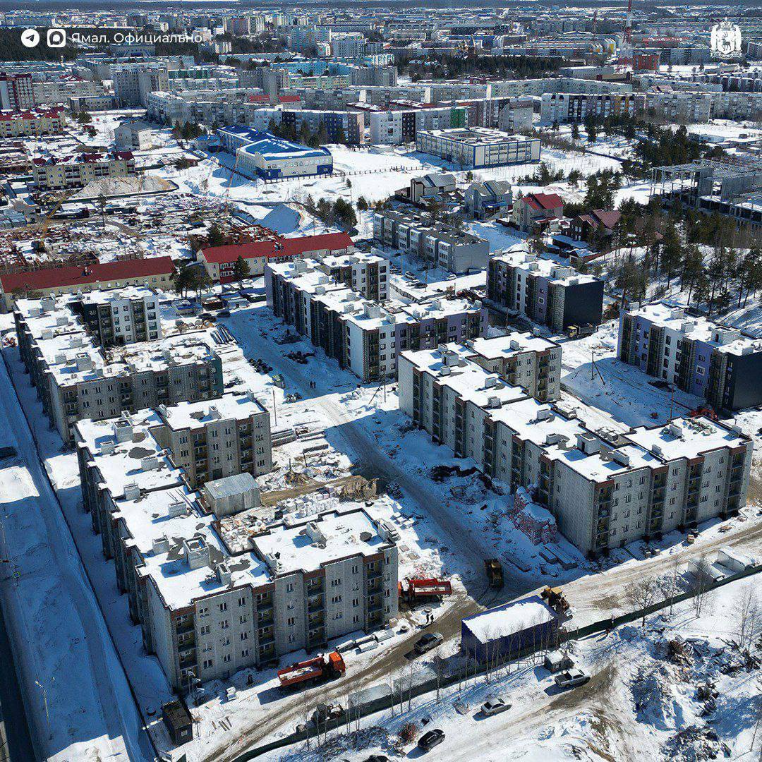 Приложение «Морошка» будет работать без интернета