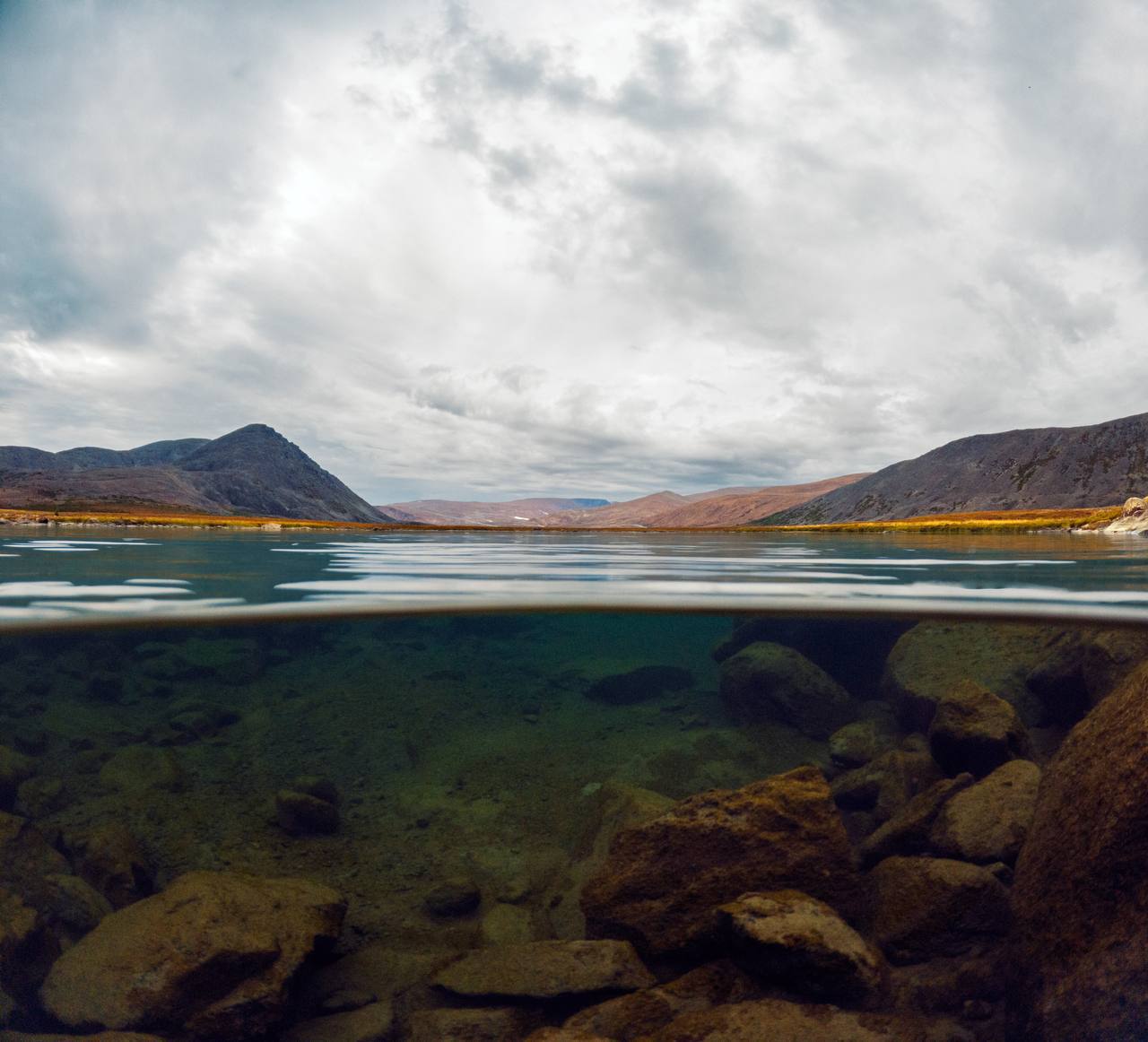 В Салехарде открылась фотовыставка «95 мгновений Ямала» В Салехарде открылась фотовыставка «95 мгновений Ямала»