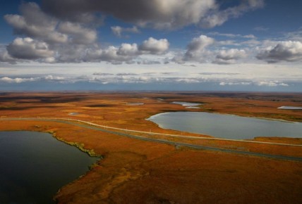 Прямая линия с Дмитрием Артюховым