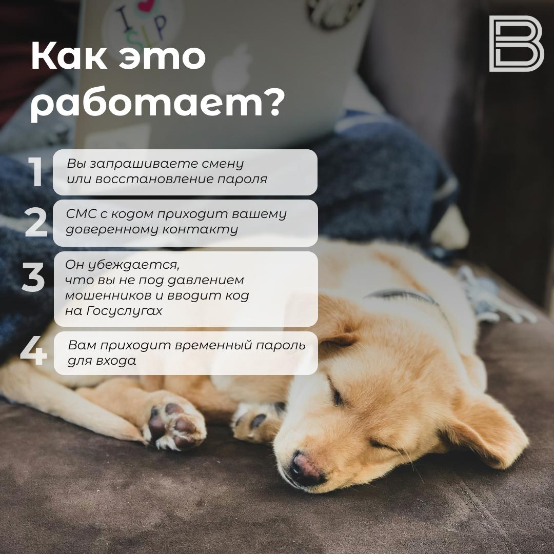 Мошенник не пройдет: как работает новая функция на «Госуслугах» и зачем она нужна? Мошенник не пройдет: как работает новая функция на «Госуслугах» и зачем она нужна?