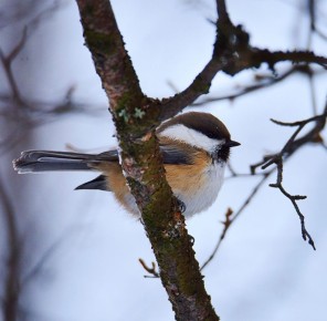 Доброе утро!. Пусть этот день будет наполнен яркими эмоциями, и ничто не помешает вашим планам и делам