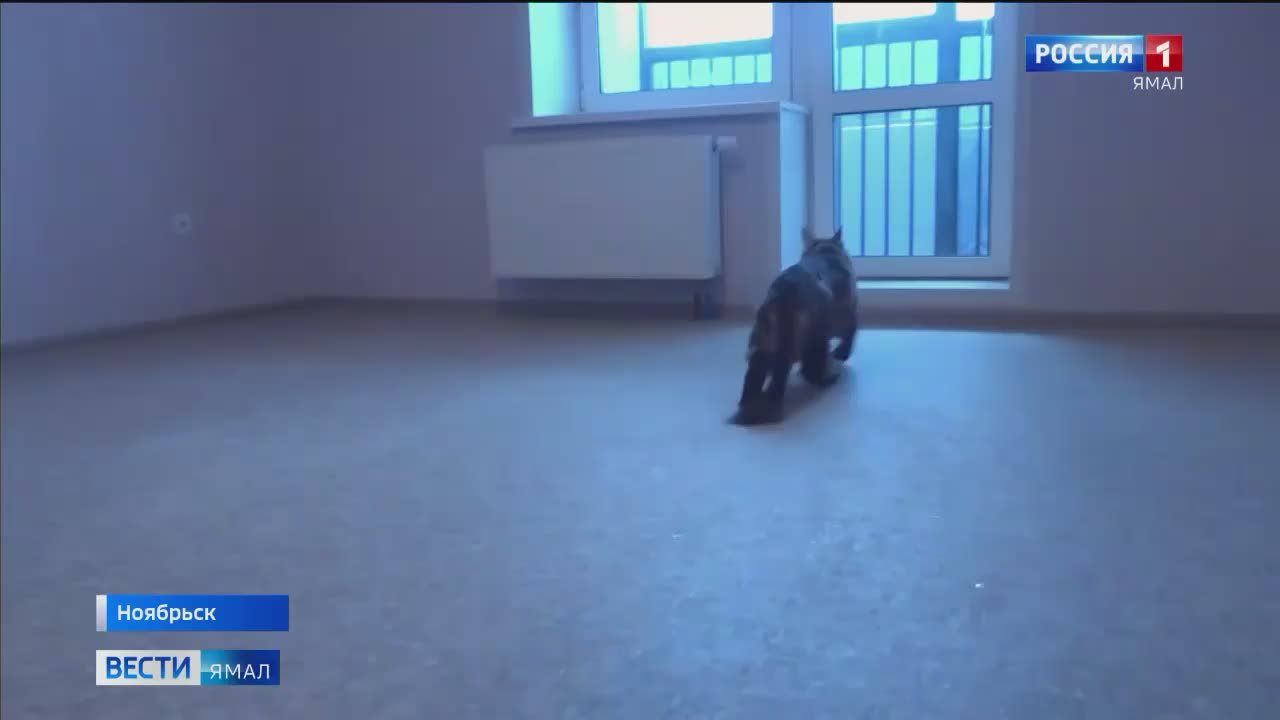 Подарок к Новому году: жителям Ноябрьска вручили ключи от новеньких квартир