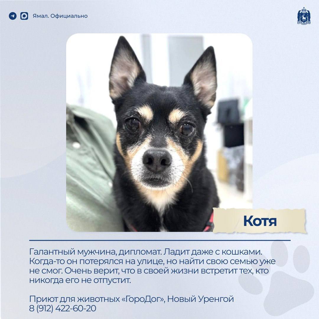 Доска объявлений. Раздел: ищу друга – 2 Доска объявлений. Раздел: ищу друга – 2