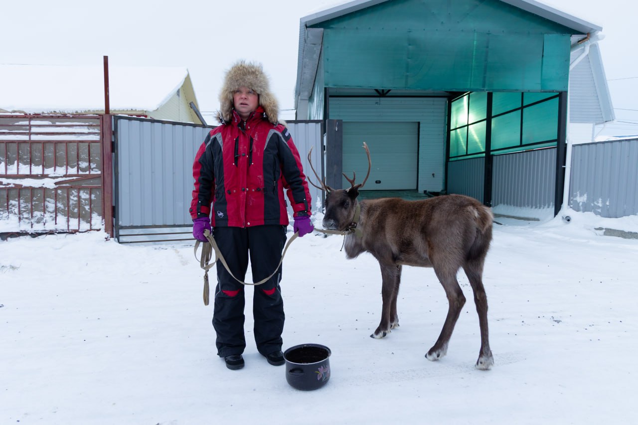 Рогатый пациент ветклиники Салехарда получил цифровой паспорт