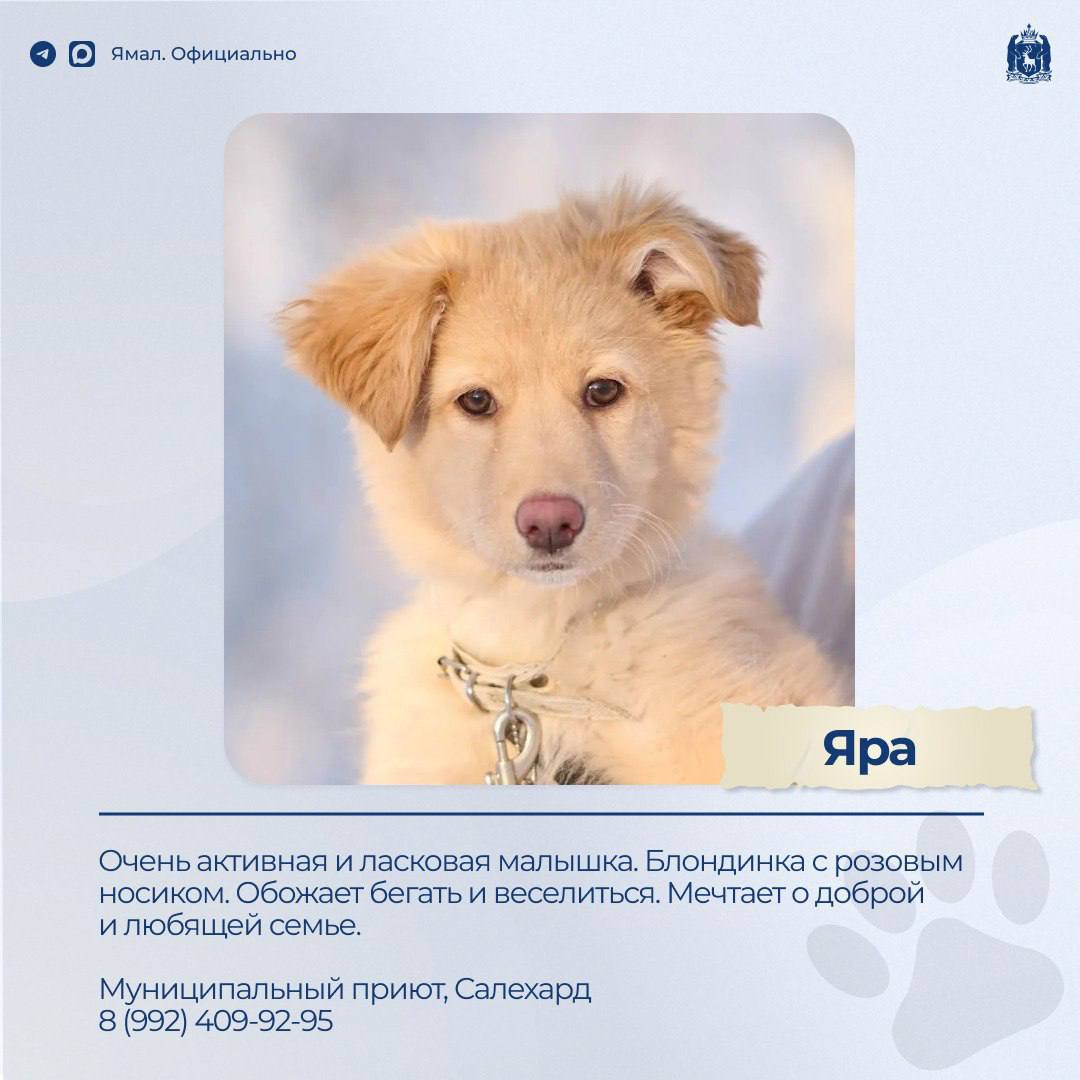 Доска объявлений. Раздел: ищу друга – 2 Доска объявлений. Раздел: ищу друга – 2