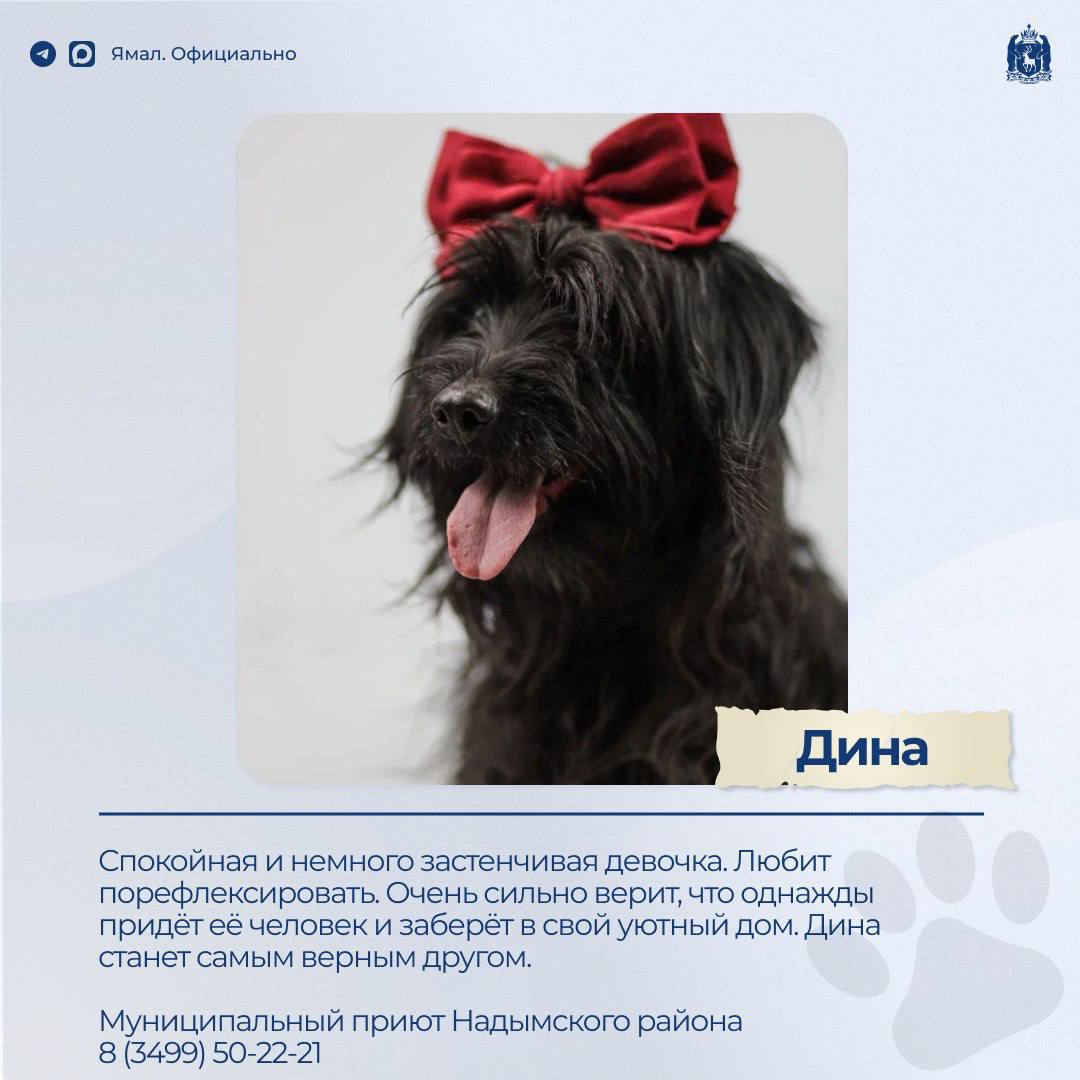 Доска объявлений. Раздел: ищу друга – 2 Доска объявлений. Раздел: ищу друга – 2