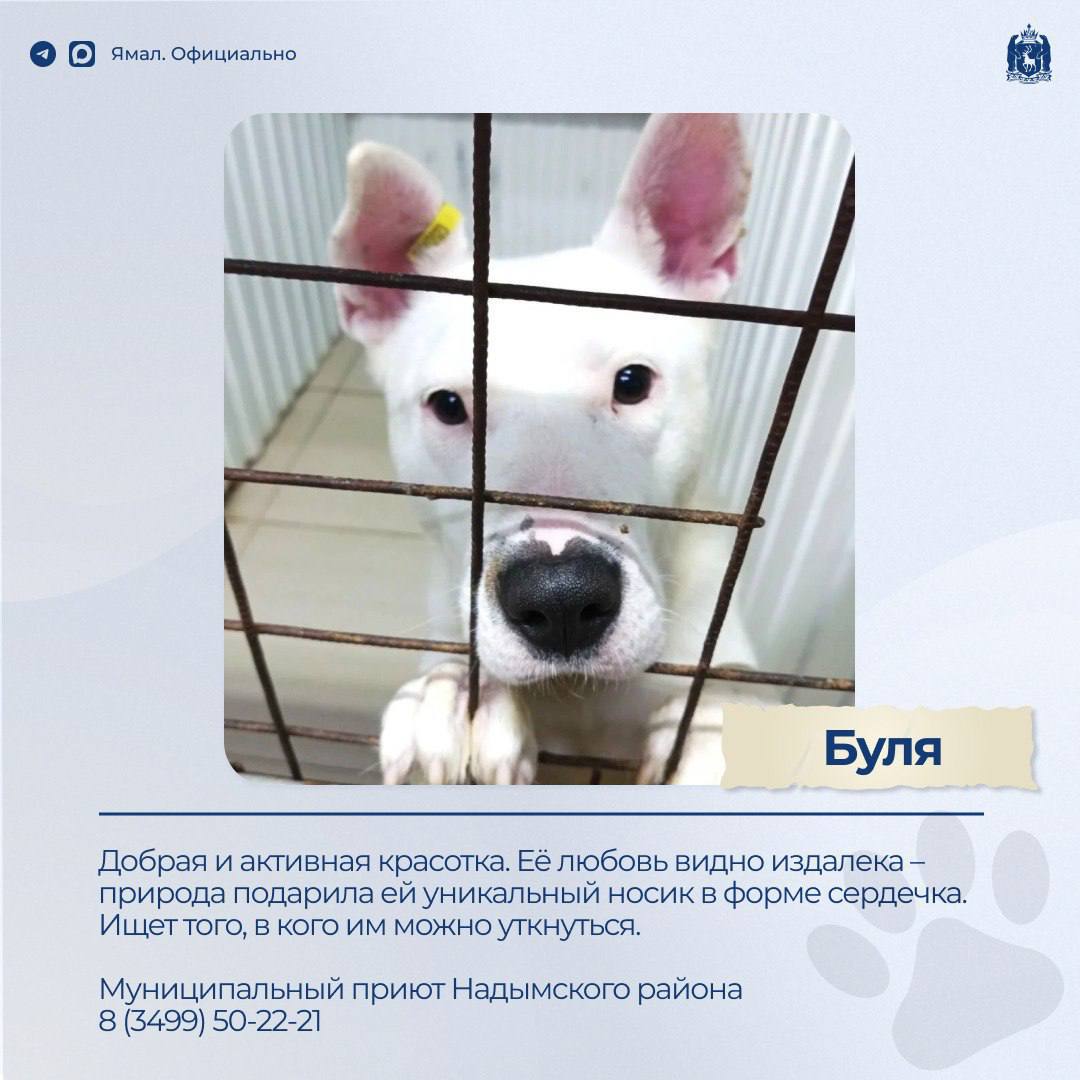 Доска объявлений. Раздел: ищу друга – 2 Доска объявлений. Раздел: ищу друга – 2