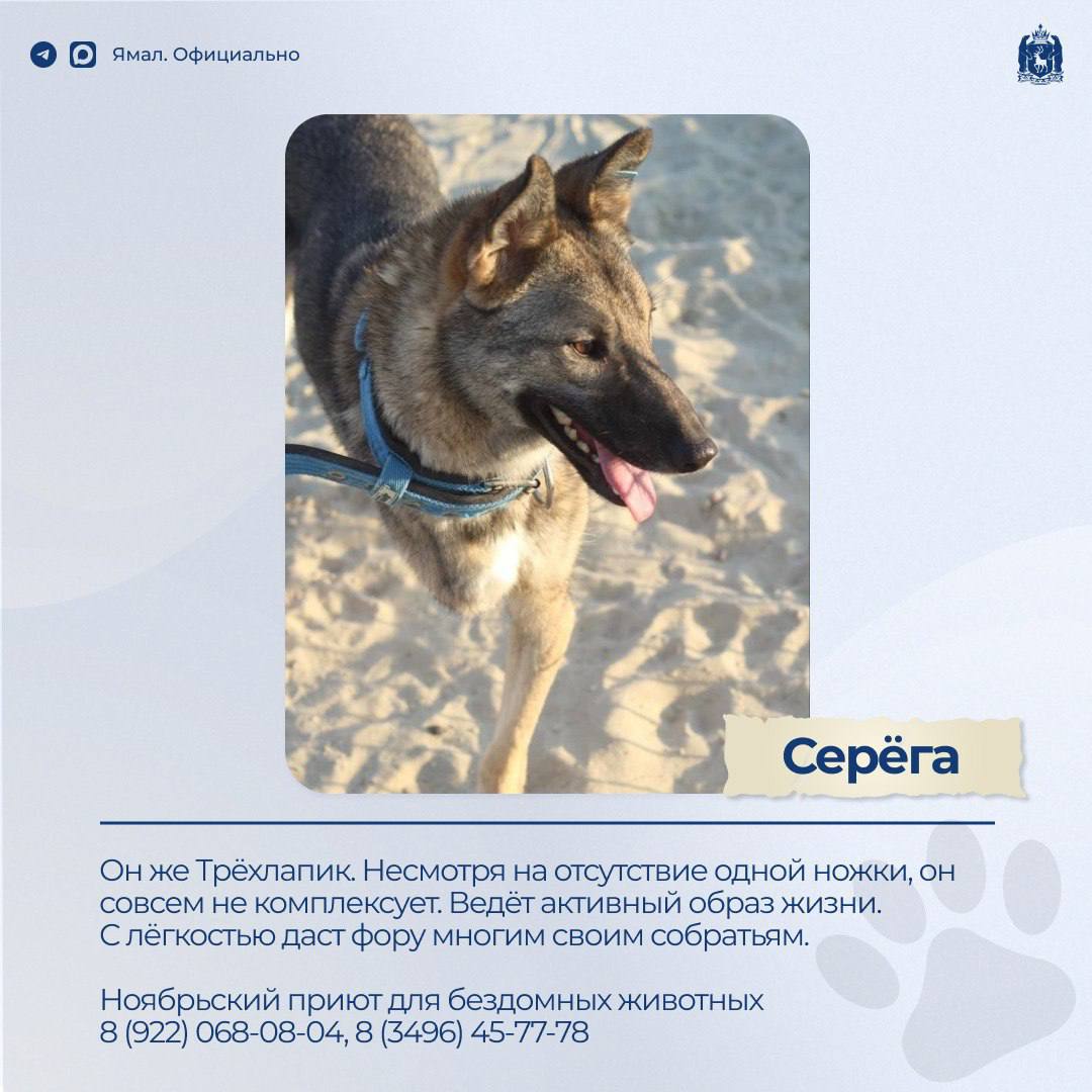 Доска объявлений. Раздел: ищу друга – 2 Доска объявлений. Раздел: ищу друга – 2