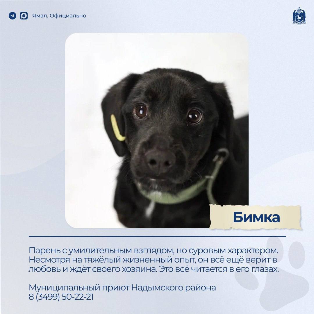 Доска объявлений. Раздел: ищу друга – 2 Доска объявлений. Раздел: ищу друга – 2