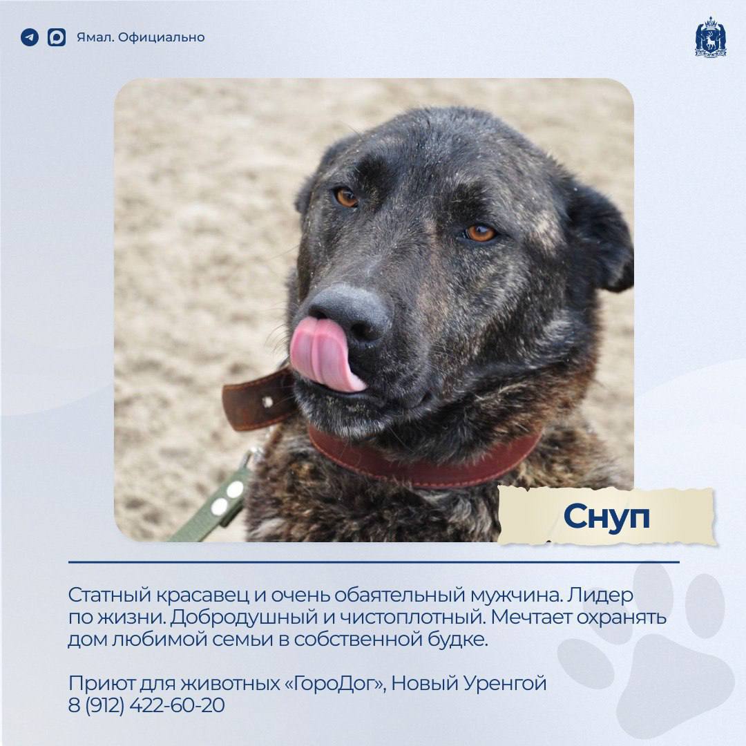 Доска объявлений. Раздел: ищу друга – 2 Доска объявлений. Раздел: ищу друга – 2