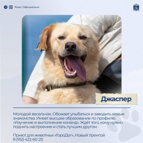 Доска объявлений. Раздел: ищу друга – 2