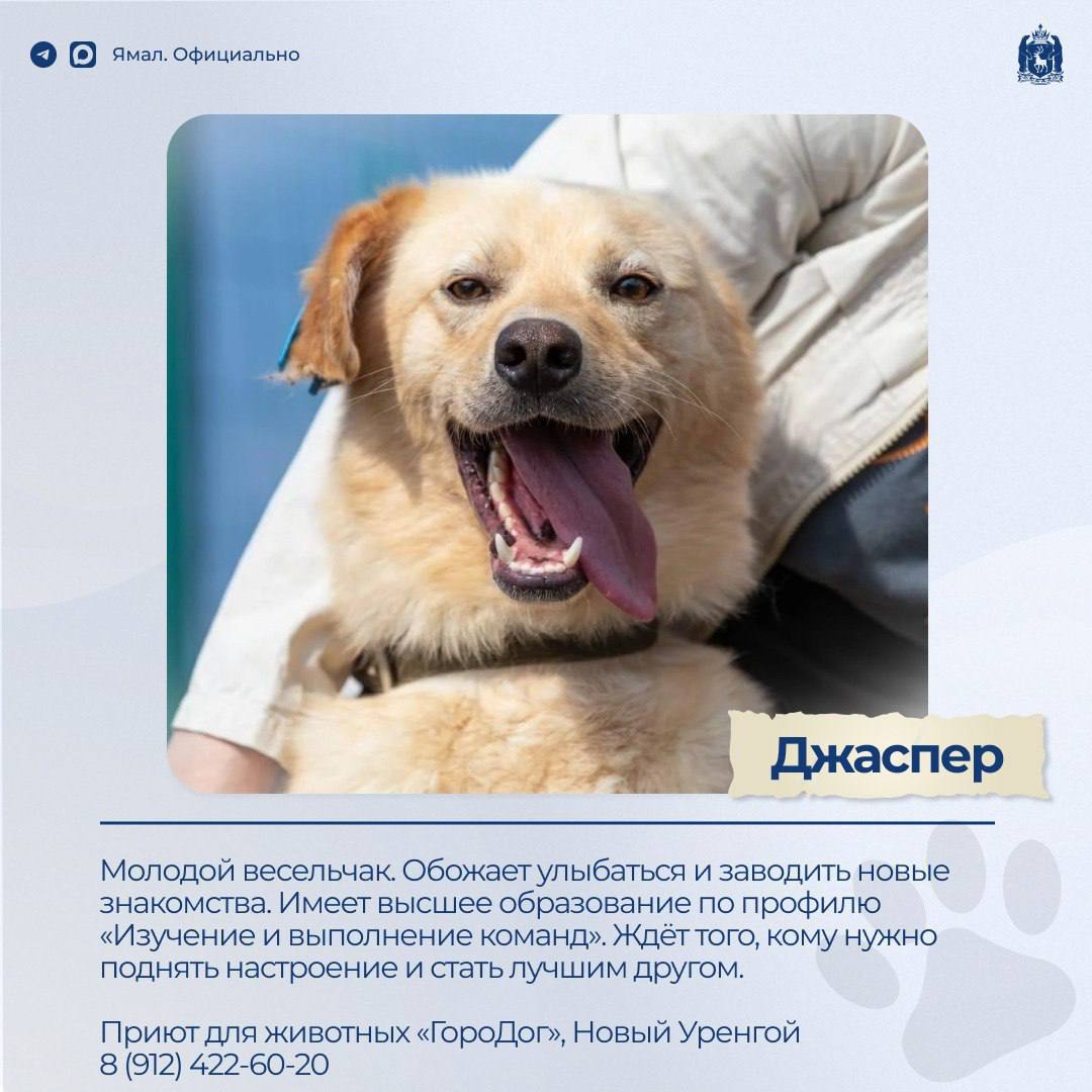 Доска объявлений. Раздел: ищу друга – 2