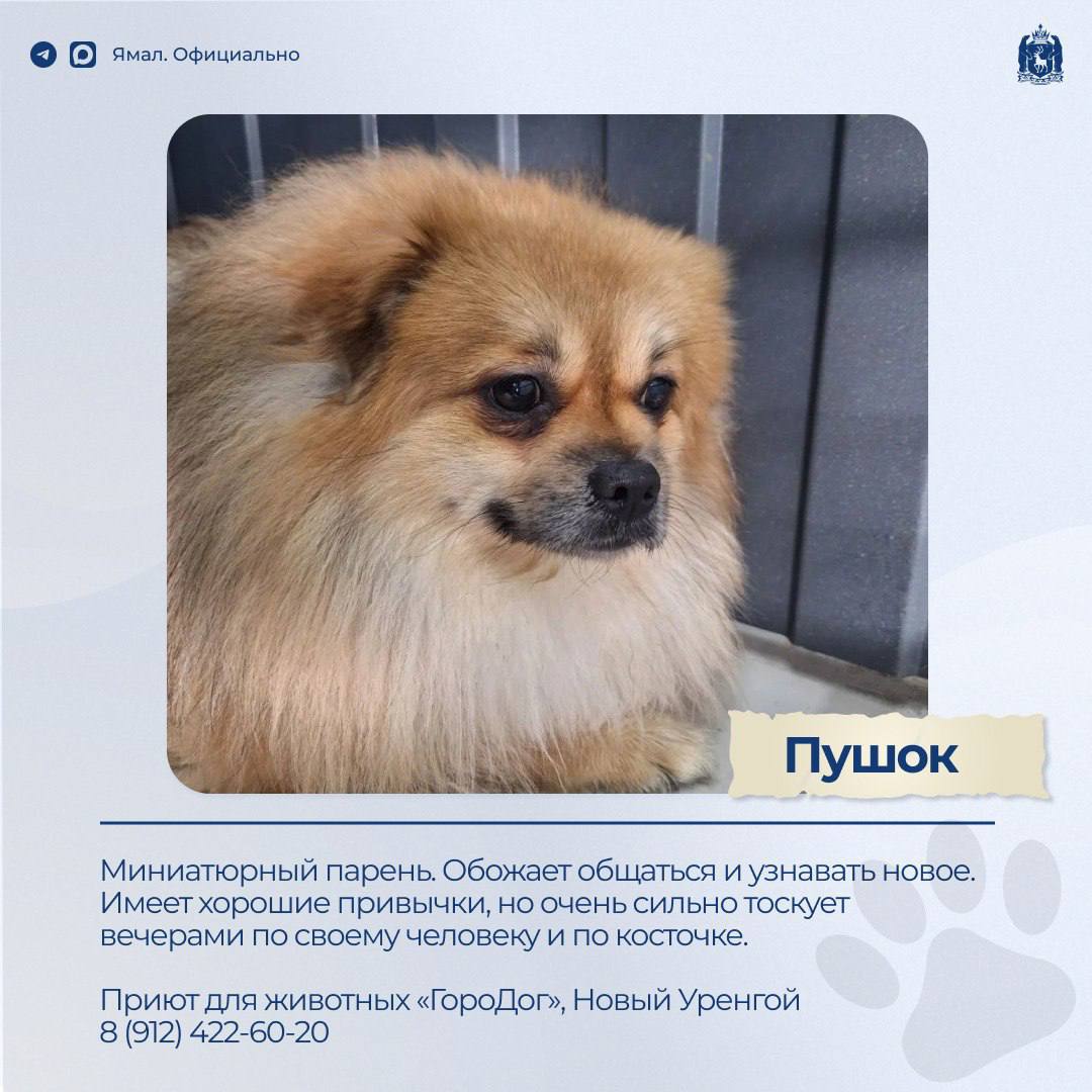 Доска объявлений. Раздел: ищу друга – 2 Доска объявлений. Раздел: ищу друга – 2