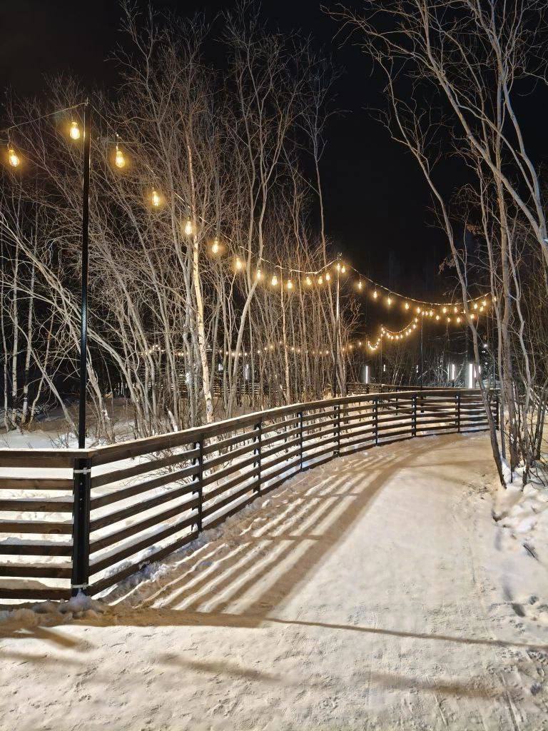 В Новом Уренгое в Яха-парке установили дополнительное освещение В Новом Уренгое в Яха-парке установили дополнительное освещение