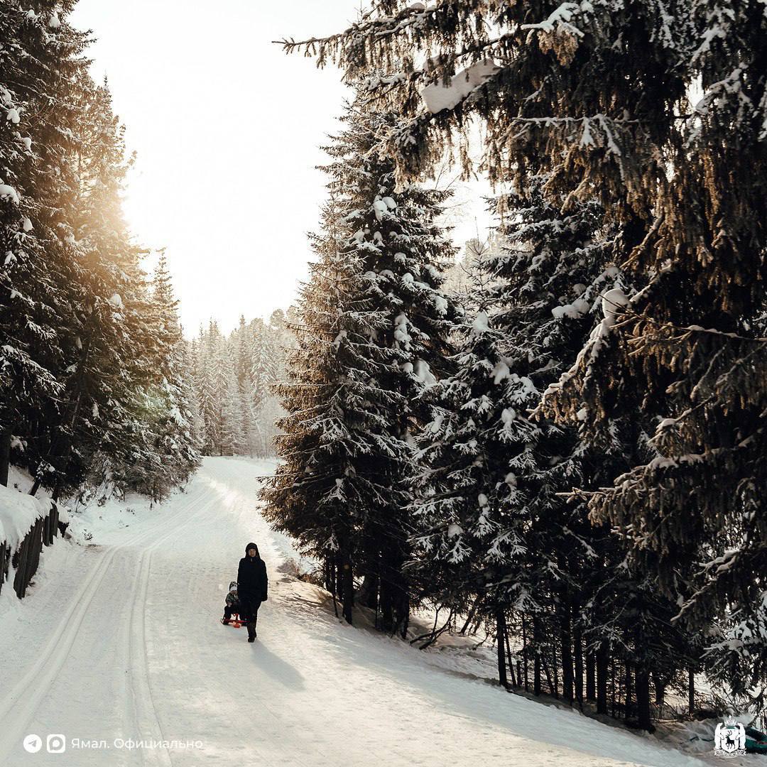 Сегодня 95-летие отмечает и соседняя Югра Сегодня 95-летие отмечает и соседняя Югра