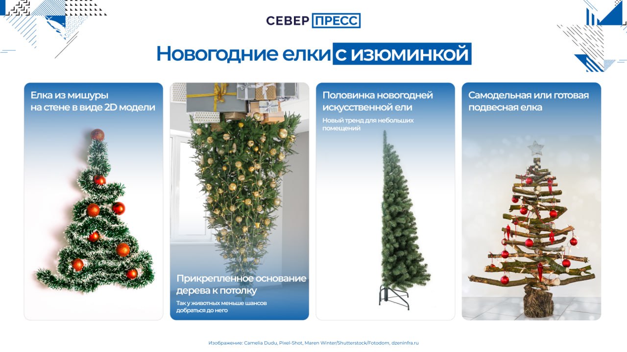 Предновогодняя суета может омрачиться, если свеженаряженная елка окажется на полу из-за игривого питомца Предновогодняя суета может омрачиться, если свеженаряженная елка окажется на полу из-за игривого питомца