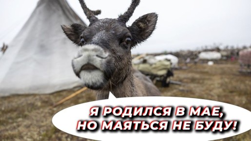 Жарюль, авгрусть, свистябрь…