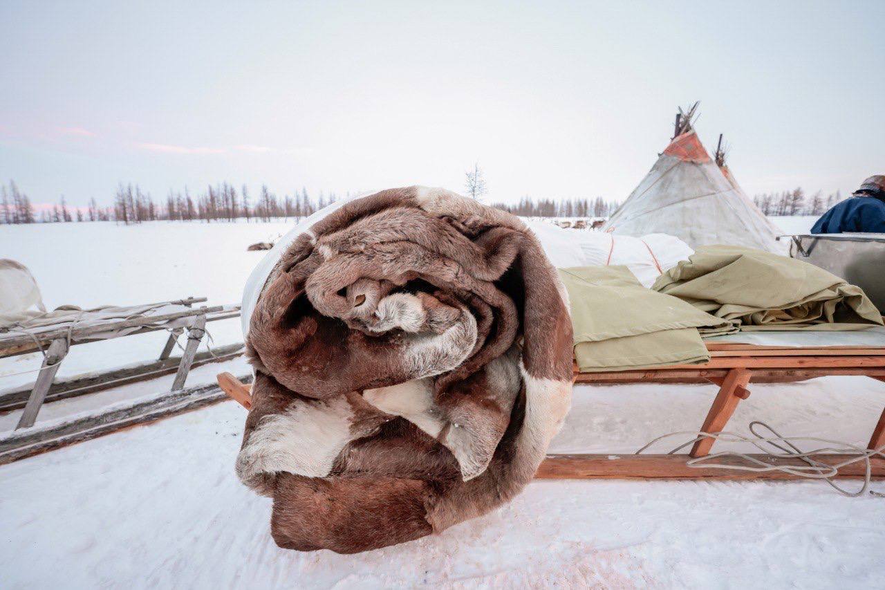 Юбилейный 70-й чумовой капитал вручили Приуральской семье Юбилейный 70-й чумовой капитал вручили Приуральской семье