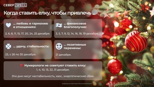Расписание праздника: в какие дни декабря рекомендуется наряжать елку и когда лучше этого не делать