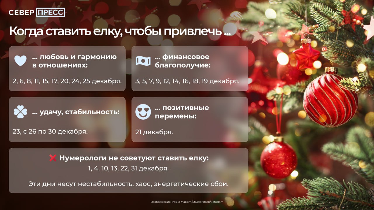 Расписание праздника: в какие дни декабря рекомендуется наряжать елку и когда лучше этого не делать