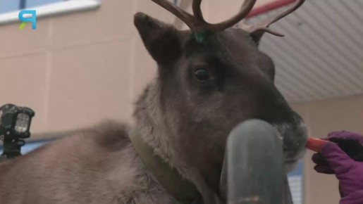 Редкий пациент пришёл проверить здоровье