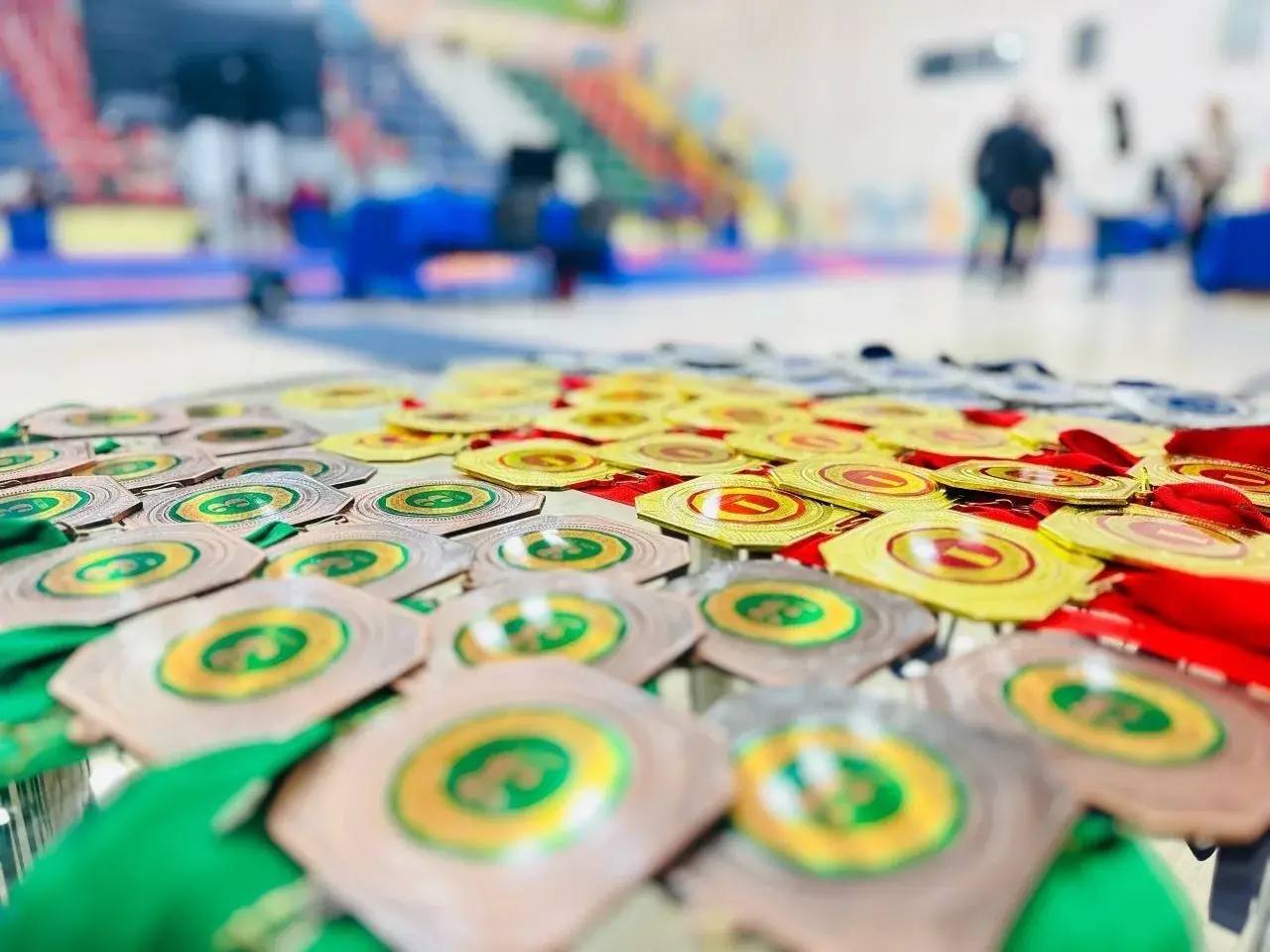 Бесплатные занятия в «Северном характере» теперь и для многодетных семей Бесплатные занятия в «Северном характере» теперь и для многодетных семей