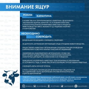 О профилактике ящура. Ящур — опасное заболевание, которое может нанести серьёзный урон сельскому хозяйству и здоровью животных