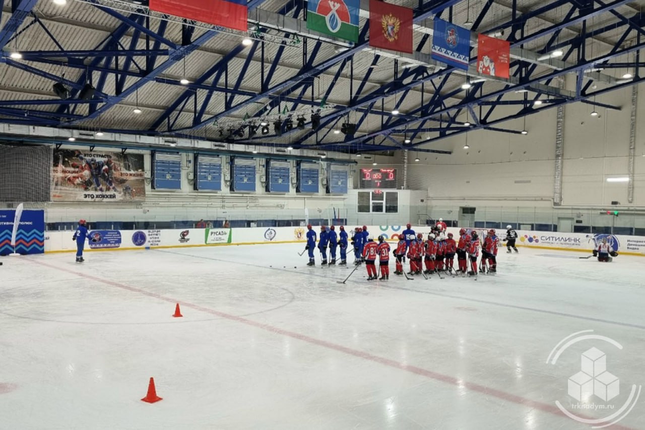 Спортсмены корпоративной хоккейной команды «Газпромнефть-Заполярья» провели мастер-класс в Надыме Спортсмены корпоративной хоккейной команды «Газпромнефть-Заполярья» провели мастер-класс в Надыме