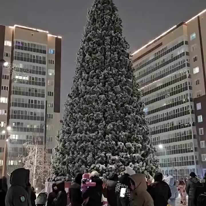 Пусть сияют огоньки,. Теплом наполнив каждый дом