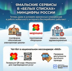 Ямальские сервисы вошли в «белый список» Минцифры