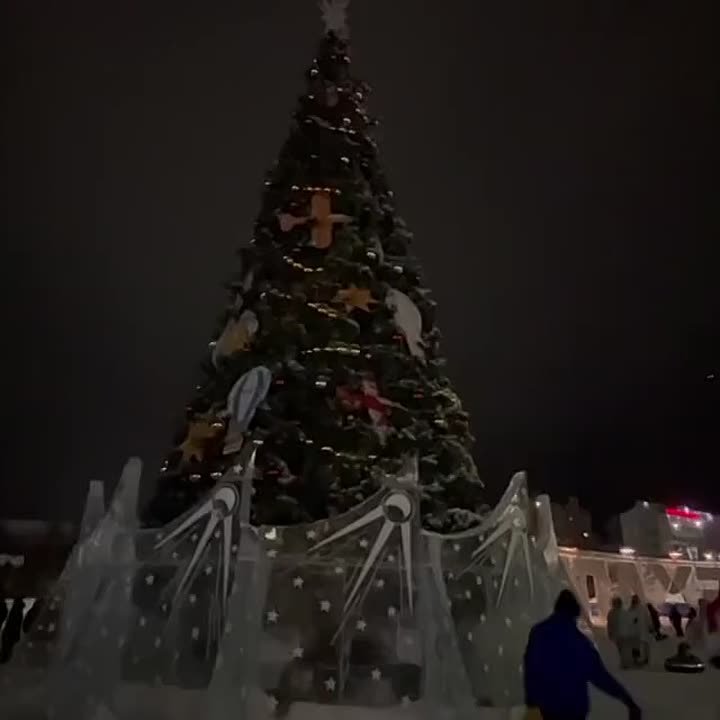 Салехардцы зажгли главную городскую елку