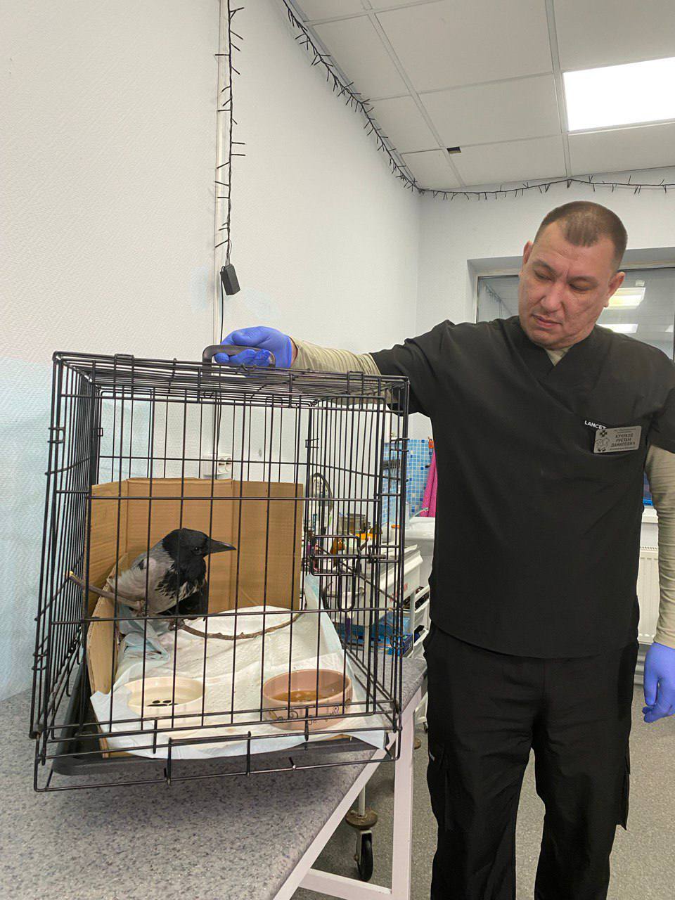 Добрые дела под Новый год. Жители Салехарда в очередной раз доказали: равнодушных у нас нет Добрые дела под Новый год. Жители Салехарда в очередной раз доказали: равнодушных у нас нет