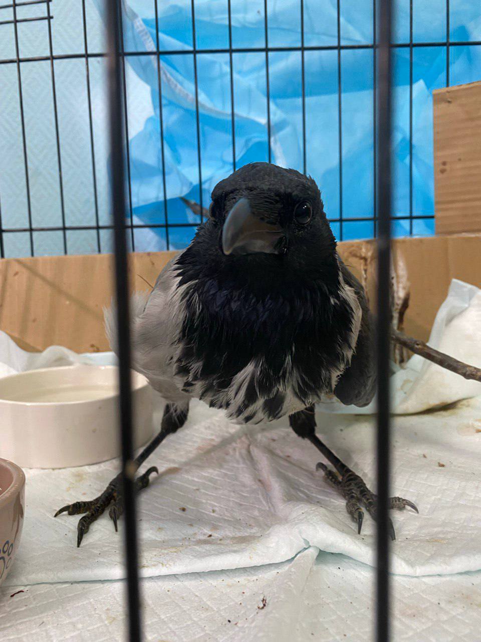 Добрые дела под Новый год. Жители Салехарда в очередной раз доказали: равнодушных у нас нет Добрые дела под Новый год. Жители Салехарда в очередной раз доказали: равнодушных у нас нет