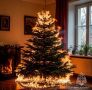 Главное управление МЧС России по ЯНАО напоминает жителям округа о ключевых правилах пожарной безопасности при установке ёлки