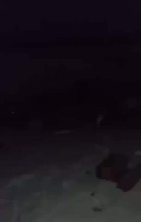 Эко-инспекция от кабанов: кто наводит порядок на свалке в Катравоже