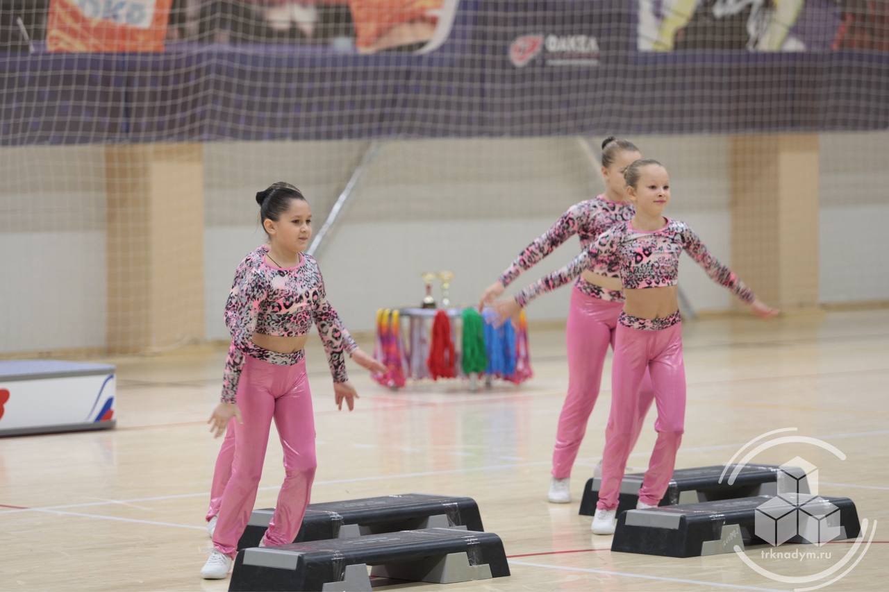 В спортивной школе «Арктика» состоялись яркие и динамичные соревнования — Первенство Надымского района по фитнес-аэробике, посвящённое 95-летию со дня образования муниципалитета В спортивной школе «Арктика» состоялись яркие и динамичные соревнования — Первенство Надымского района по фитнес-аэробике, посвящённое 95-летию со дня образования муниципалитета