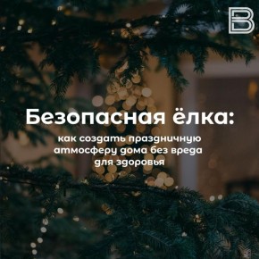 Украшаем елку безопасно: как создать праздничную атмосферу дома без вреда для здоровья