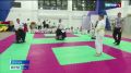 В Салехарде завершился межрегиональный учебно-аттестационный семинар по айкидо