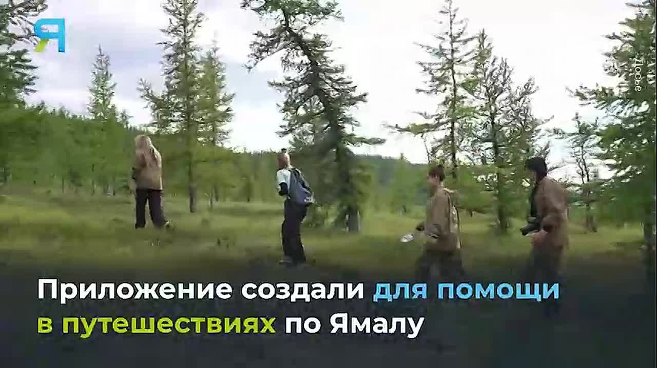 «"Ингилор" в кармане» отметили на престижном конкурсе