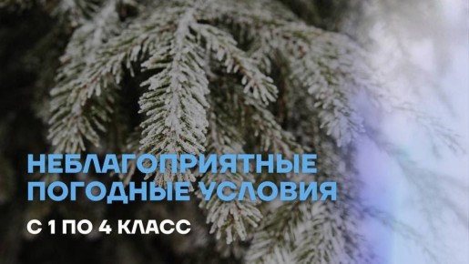 Сейчас в Новом Уренгое -33°С, ветер северо-западный 2-3 м/с